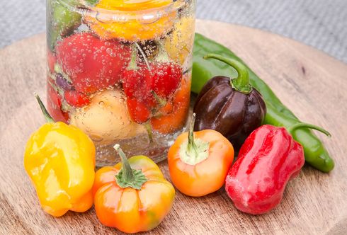 Arche Noah-Rezepte