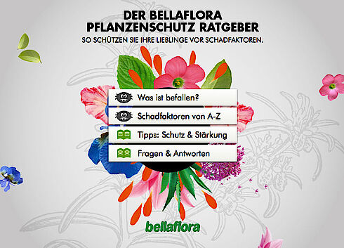 Unsere Ratgeber