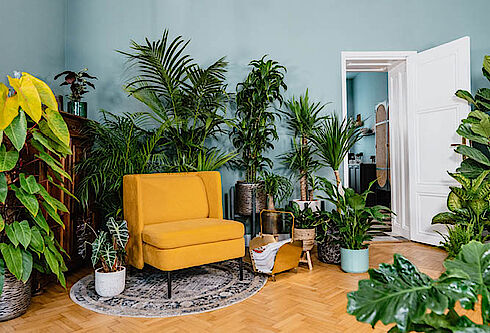 Urban Jungle