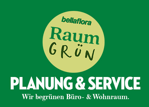 Begrünung für Wohn- & Büroräume